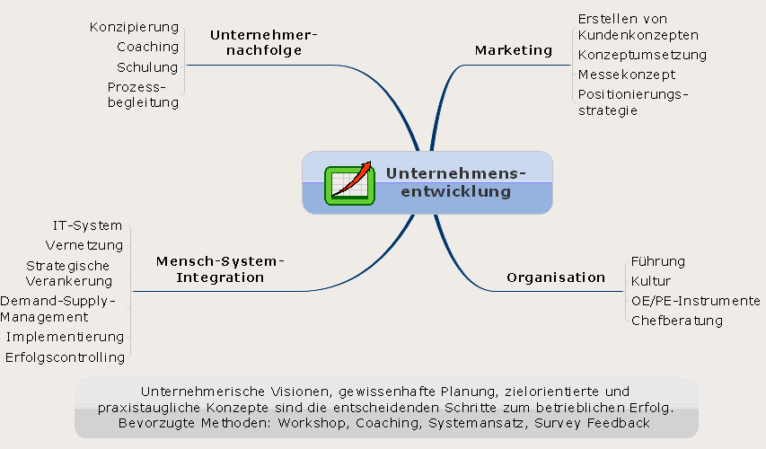 Unternehmensentwicklung